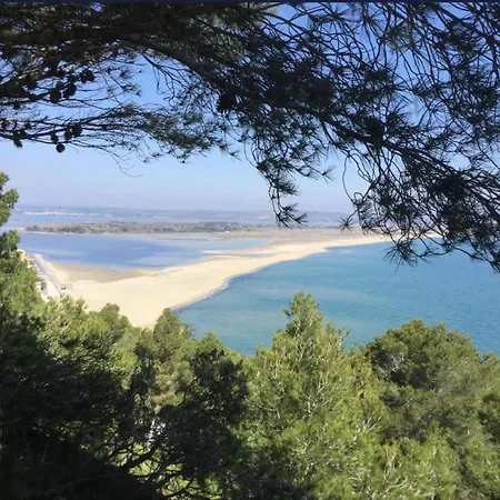Superbe Confort Au Coeur De La Franqui Apartamento *